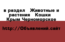  в раздел : Животные и растения » Кошки . Крым,Черноморское